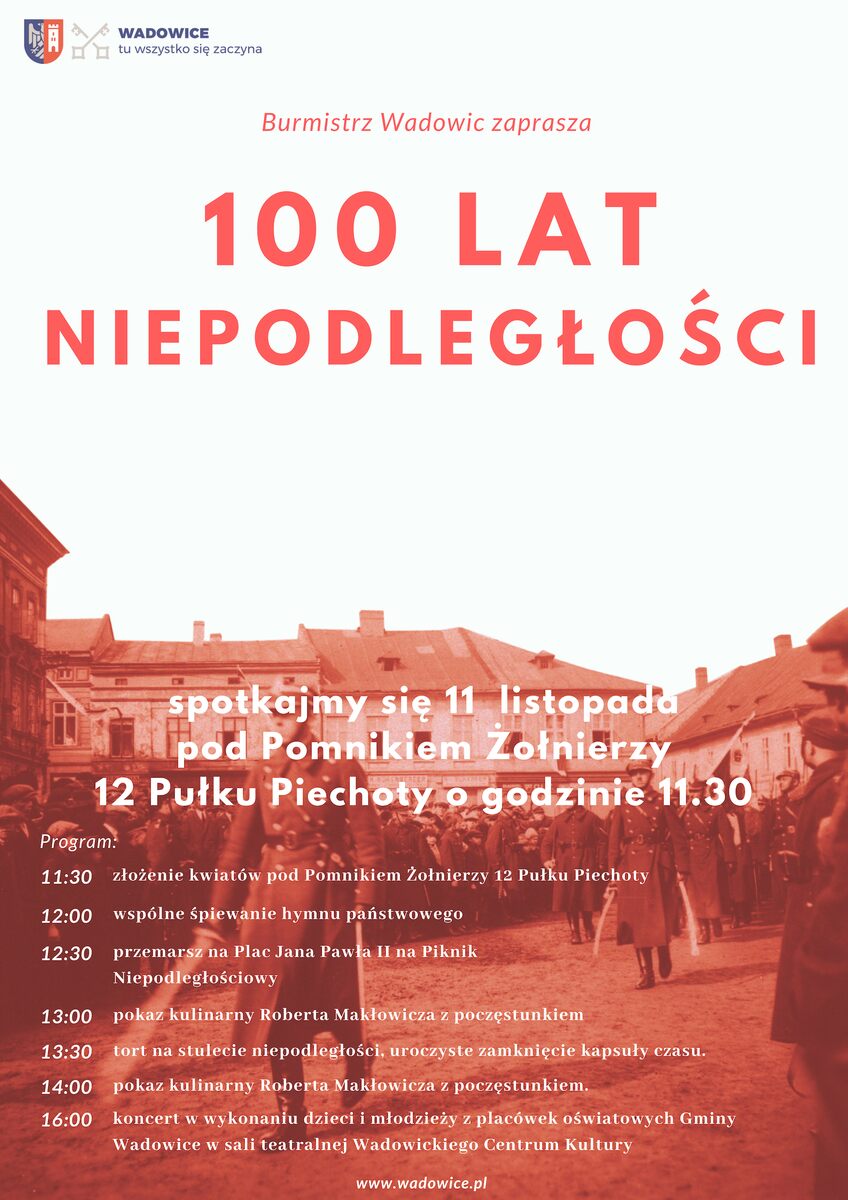 156834 - Piknik Niepodległościowy na 100-lecie wolnej Polski